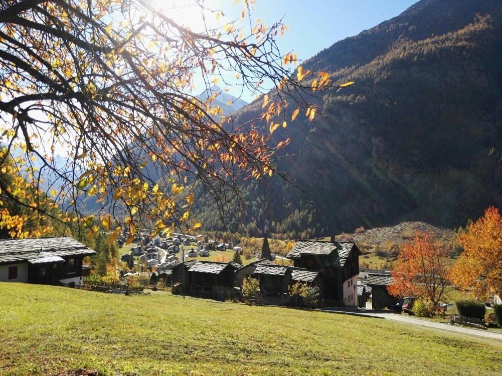 Appartement Haus Valaisia - Randa Bei Zermatt Extérieur photo