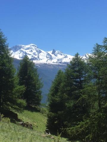 Appartement Haus Valaisia - Randa Bei Zermatt Extérieur photo