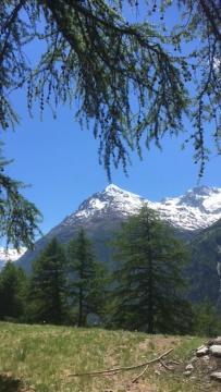 Appartement Haus Valaisia - Randa Bei Zermatt Extérieur photo